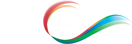 Lily Services s.r.o.
